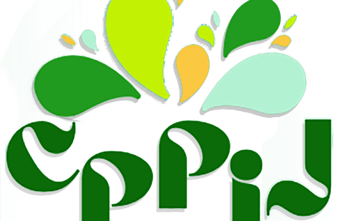 Culture, Public Policy and Innovation Journal