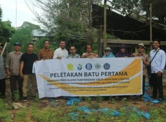 Mendorong Nelayan Mandiri, PSPP UMJ dan BI Membangun Kilang Ubur-ubur di Pesisir Sambas Kalbar,