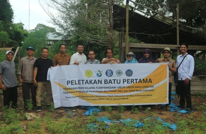 Mendorong Nelayan Mandiri, PSPP UMJ dan BI Membangun Kilang Ubur-ubur di Pesisir Sambas Kalbar,